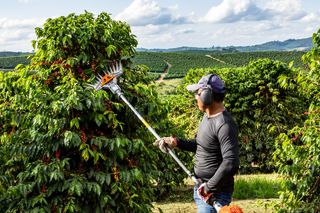 Uma pessoa que usa uma ferramenta de jardinagem para aparar arbustos em um campo.