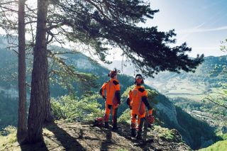 Two people in work gear standing on a cliff edge with chainsaws, overlooking a valley.