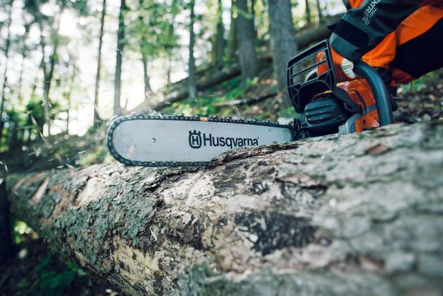 Một người sử dụng cưa máy Husqvarna để chặt một cái cây đổ trong rừng.