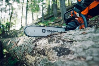A person using a Husqvarna chainsaw to cut a fallen tree in a forest.