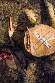 Top view of a tree stump with a Husqvarna chainsaw chain and guide bar, surrounded by chainsaw accessories.
