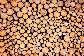 Stack of cut tree logs with bark.