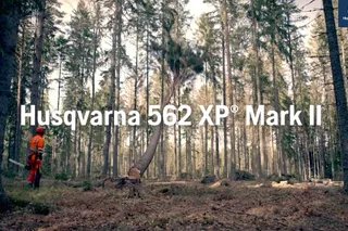 Product in action, Chainsaw 562 XP Mark II 20s 16x9