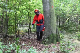 Working with chainsaws - Wood cutting 1 32s 16:9 MASTER