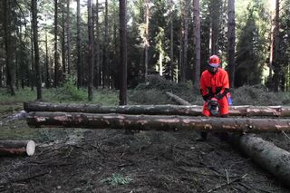 Working with chainsaws - Cross cutting 1 14s 16:9 MASTER