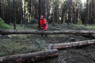 Working with chainsaws - Cross cutting 2 14s 16:9 MASTER
