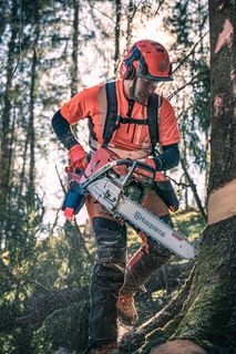 A person using a chainsaw to cut a tree in a forest setting.
