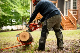 445S Chainsaw