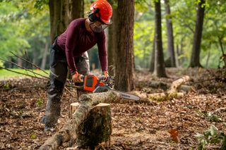 A person using a chainsaw to cut a fallen tree branch in a forest setting.