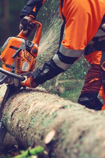 Una persona che utilizza una motosega per tagliare un tronco d'albero caduto in un ambiente forestale.