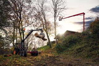 Chainsaw Academy - advanced tree felling