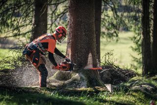 En person som använder en motorsåg för att hugga ner ett träd i en skogsmiljö.
