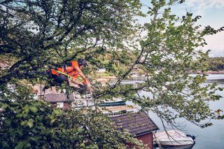 Een persoon die een kettingzaag gebruikt om takken van een boom te zagen in de buurt van een omgeving aan het meer.