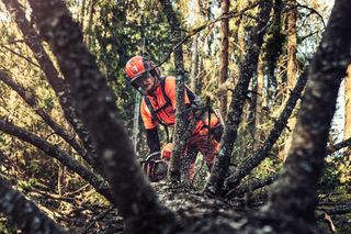 A person using a chainsaw to cut a fallen tree in a forest setting.