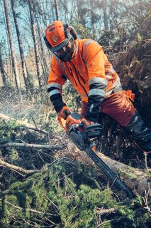 Uma pessoa que utiliza uma motosserra para cortar ramos de árvores num ambiente florestal.
