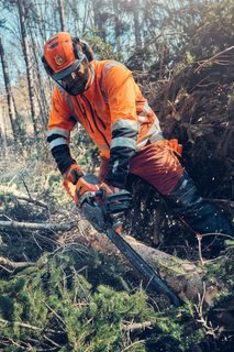 A person using a chainsaw to cut tree branches in a forest setting.