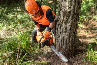 A person using a chainsaw to cut a tree trunk in a forest setting.