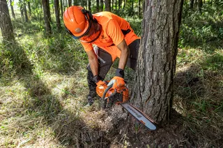 A person using a chainsaw to cut a tree in a forest setting.