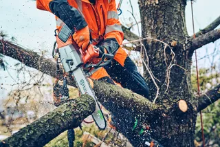 En person som använder en motorsåg från Husqvarna för att kapa en trädgren utomhus.