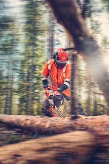 En person som bruker en motorsag til å kappe et felt tre i en skog.