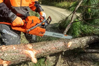A person using a chainsaw to cut a fallen tree on a dirt path.