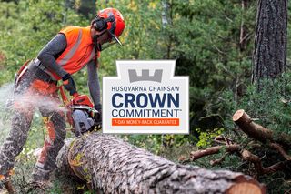 A person using a chainsaw to cut a fallen tree trunk in a forest setting.