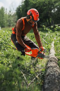 Two workers in a forest setting, one using a chainsaw to cut a fallen tree.