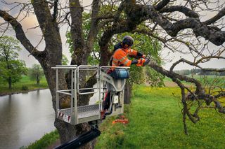 Husqvarna X-CUT® S93G, 3/8" mini pitch, .050 gauge. A person in work gear using a chainsaw to trim branches from a tree while elevated on a platform.