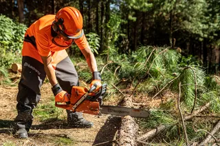 A person using a chainsaw to cut a fallen tree in a forest setting.