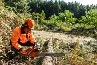 A person in work gear using a chainsaw to cut a fallen tree in a forest setting.