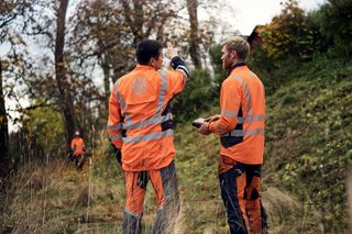 Chainsaw Academy - advanced tree felling