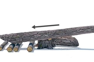 Stack of cut tree logs with bark, arranged on a white surface.