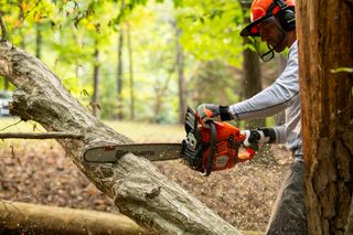 A person using a chainsaw to cut a fallen tree in a forest setting.