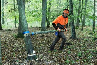 Working with chainsaws part 1