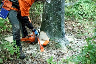 How to use a chainsaw Working with chainsaws, part 1