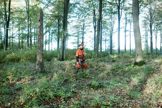 How to use a chainsaw Working with chainsaws, part 1