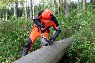 Images Working with chainsaws, part 2