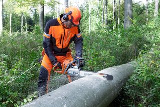 Images Working with chainsaws, part 2
