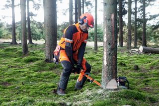 Images Working with chainsaws, part 2