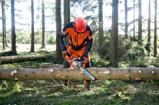A person in work gear using a chainsaw to cut a fallen tree in a forest.