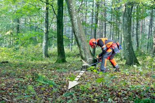 Images Working with chainsaws, part 2