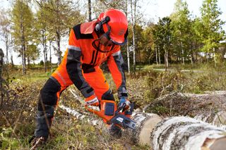 En person, der bruger en kædesav til at fælde et nedfaldet træ i et skovområde iført arbejdstøj.