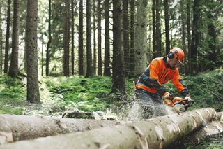 A person using a chainsaw to cut a fallen tree in a forest.