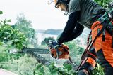 Eine Person, die eine Motorsäge verwendet, um einen Ast zu schneiden, und die dabei Arbeitskleidung und einen Schutzhelm trägt.