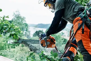 Eine Person, die eine Motorsäge verwendet, um einen Ast zu schneiden, und die dabei Arbeitskleidung und einen Schutzhelm trägt.