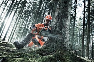 A person using a Husqvarna chainsaw to cut a tree in a forest setting.