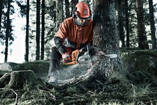 A person using a chainsaw to cut a tree in a forest setting.