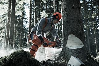 A person using a chainsaw to cut down a tree in a forest setting.