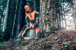 A person using a chainsaw to cut a tree in a forest setting.