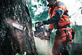 A person using a chainsaw to cut a tree trunk in a forest setting.
